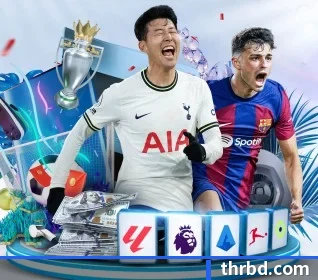 亚新在线官网 APP